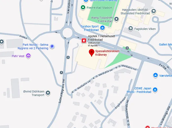 google map
